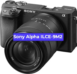 Замена Чистка матрицы на фотоаппарате Sony Alpha ILCE-9M2 в Санкт-Петербурге
